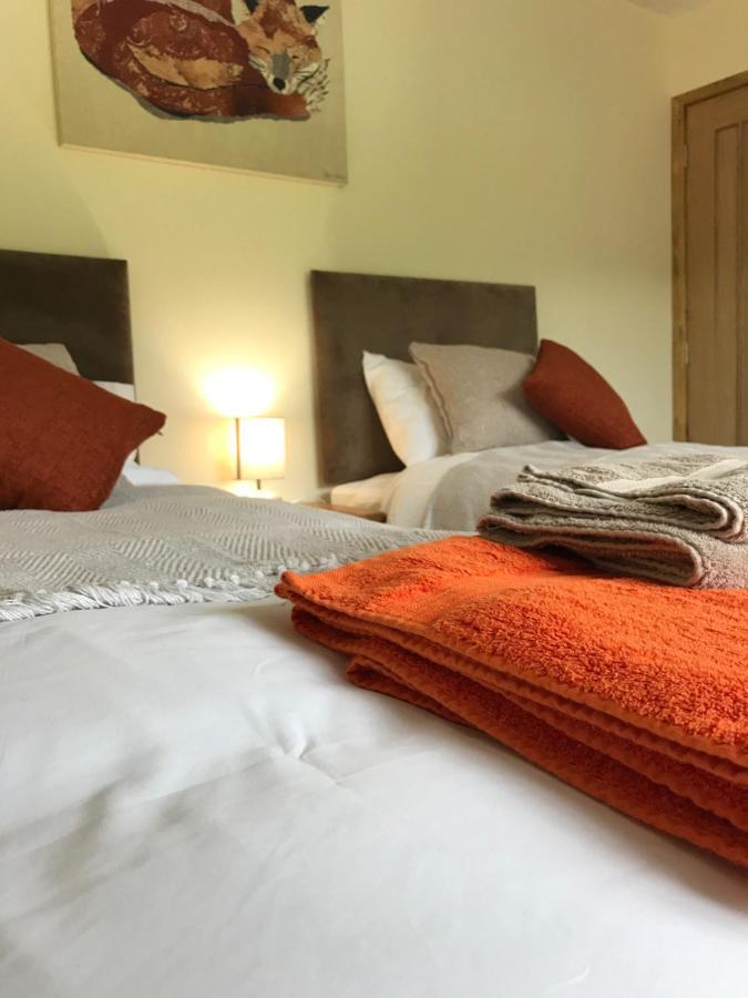 מאכינלת' Moelfre B&B מראה חיצוני תמונה